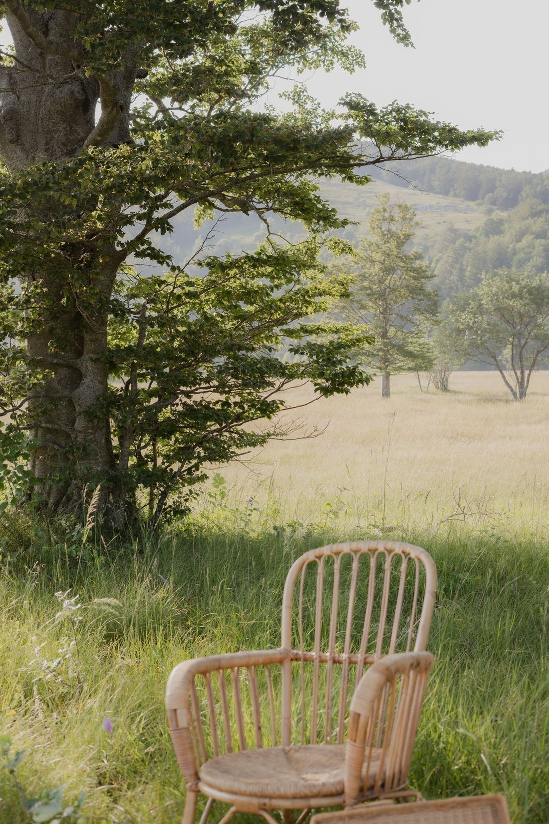 Idealna jutarnja rutina za njegu kože